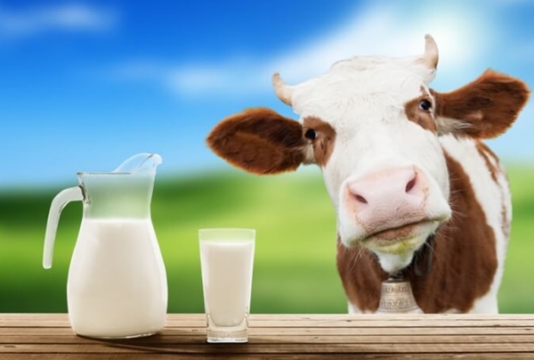 Для чего отбеливают молоко?