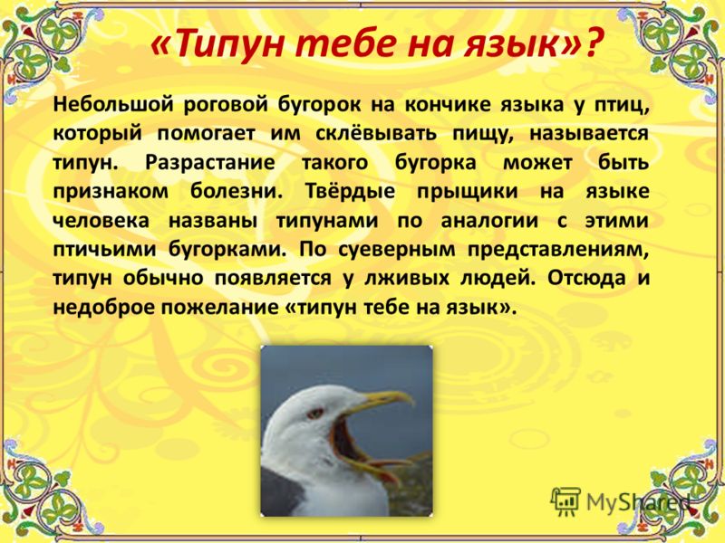 Что такое типун