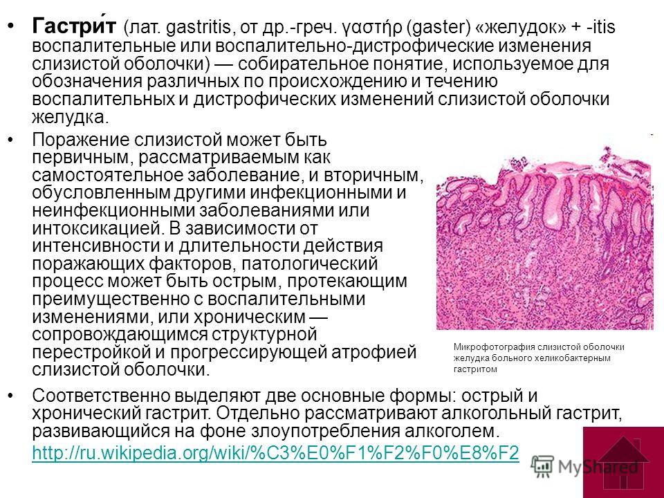 Атрофия желудка. Слизистая желудка патология. Микрофотография слизистой оболочки желудка. Атрофированная слизистая желудка.