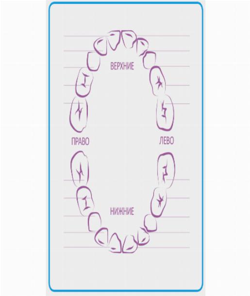 Зубы малыша схема прорезывания
