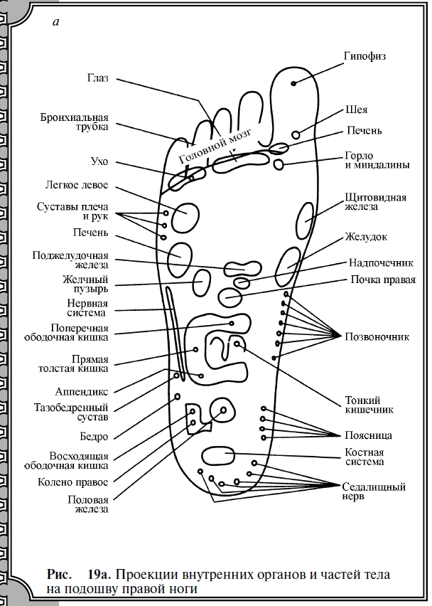 Определение болезни по языку в картинках диагноз. Проекция внутренних органов на стопе человека. Диагностика заболеваний по стопам. Диагноз по стопе ноги.