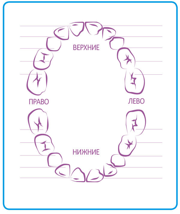 Детские зубы схема прорезывания