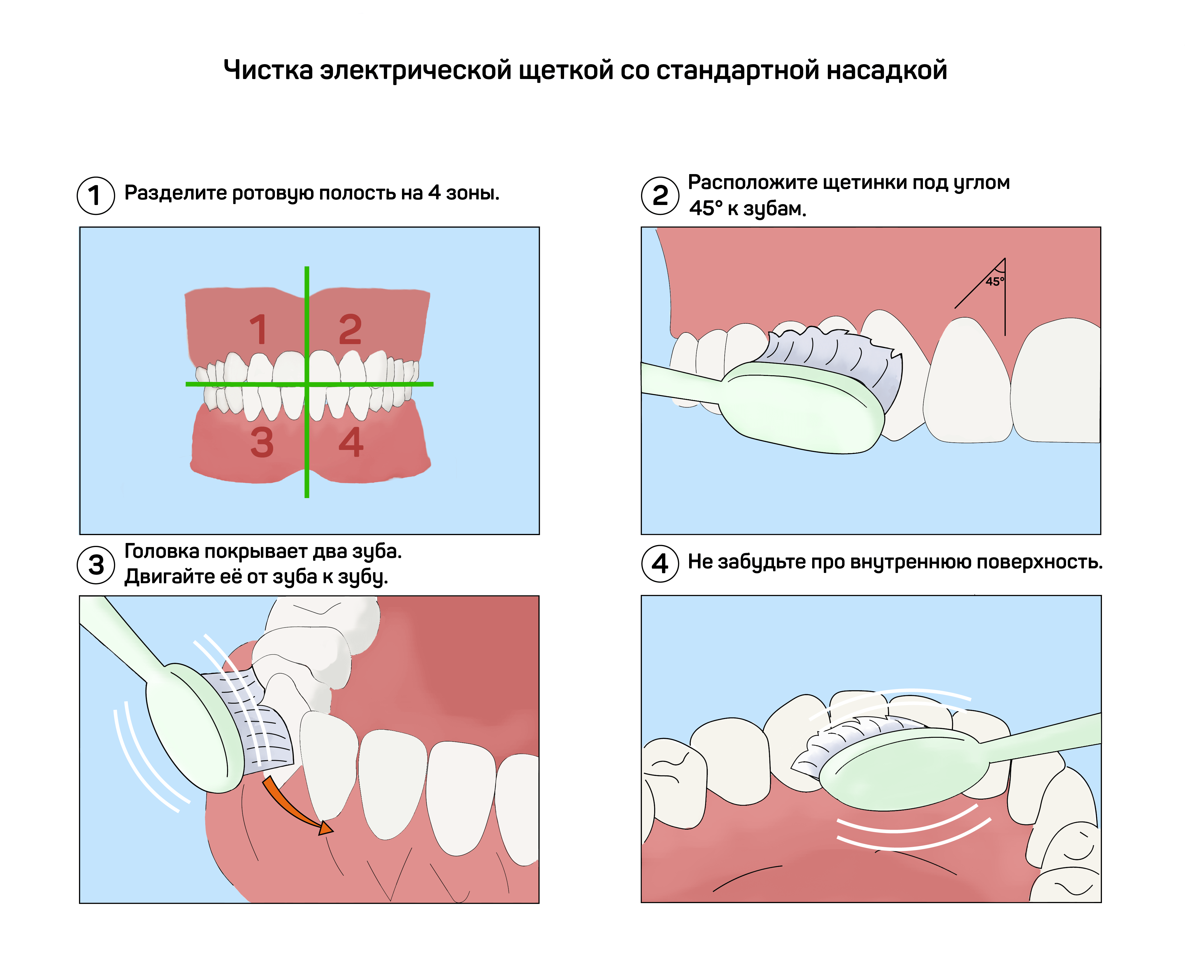 Полость правильный. Нарисовать этапы стандартного метода чистки зубов. Алгоритм стандартного метода чистки зубов. Стандартный метод чистки зубов Пахомов. Стандартный метод чистки зубов схема.