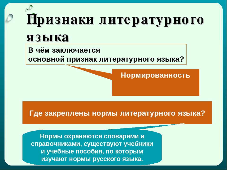 Язык человека литературный. Признаки литературного языка. Основные признаки литературного языка. Признаки литературного языка таблица. Основной признак литературного языка.