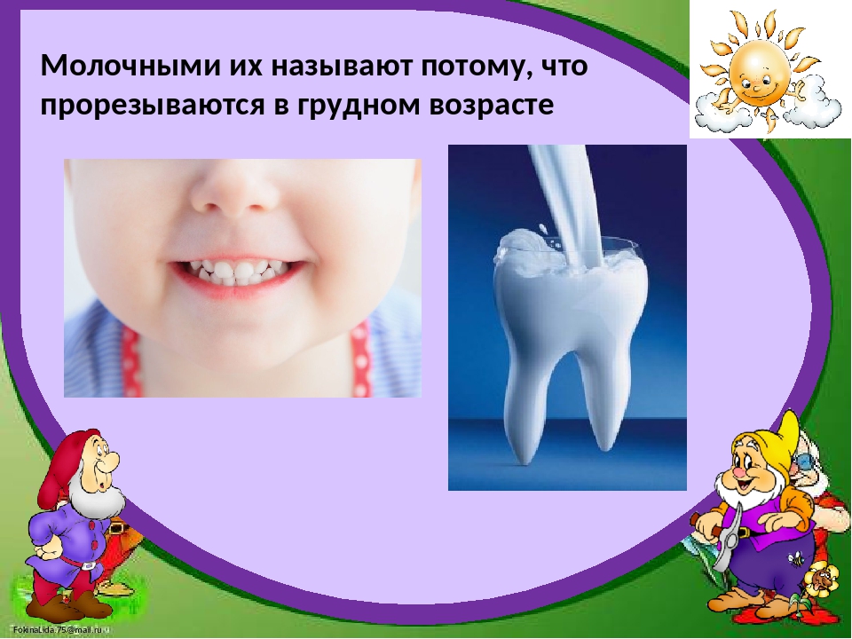 Молочные зубы картинки. Молочнезубы. Молочные и постоянные зубы. Выпадение молочных зубов.