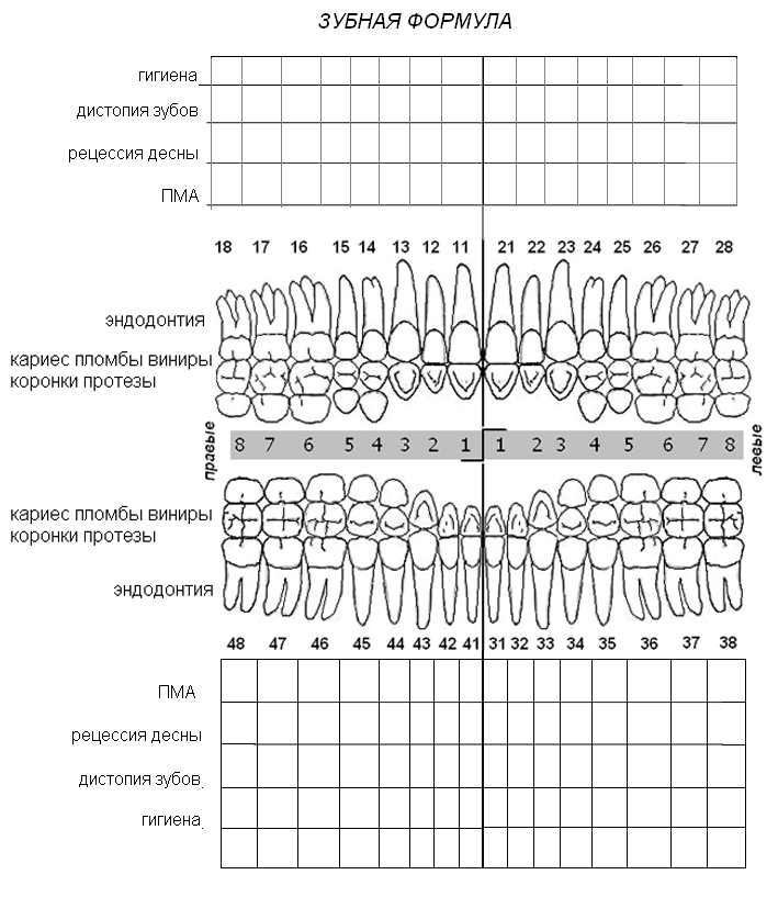 Зубная формула образец
