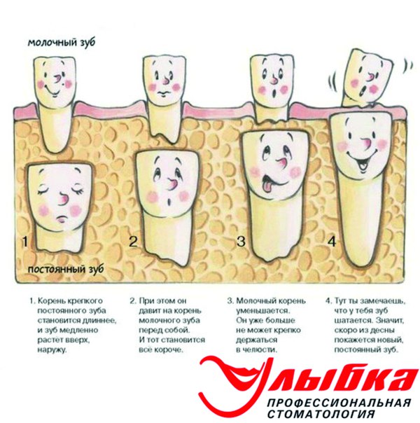 Лечение молочных зубов Томск Радищева Капы для выравнивания зубов Томск Моторный